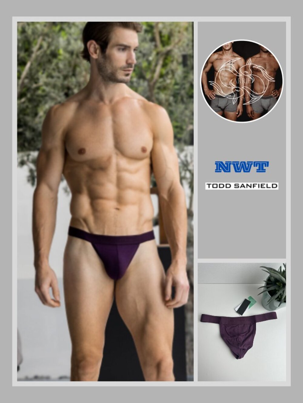 Todd Sanfield - Essential Thong - Deep Purple (M)